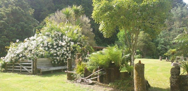 Blackfern Lodge Waimiha Exterior foto